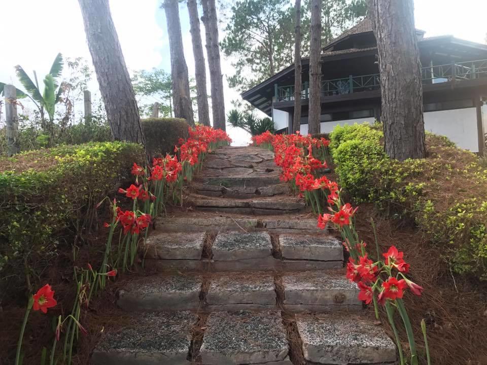 Bird Land Resort Khao Kho Exterior photo
