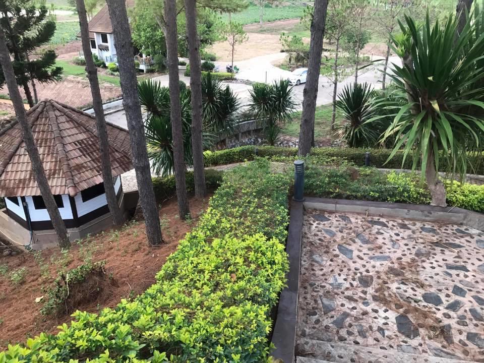 Bird Land Resort Khao Kho Exterior photo